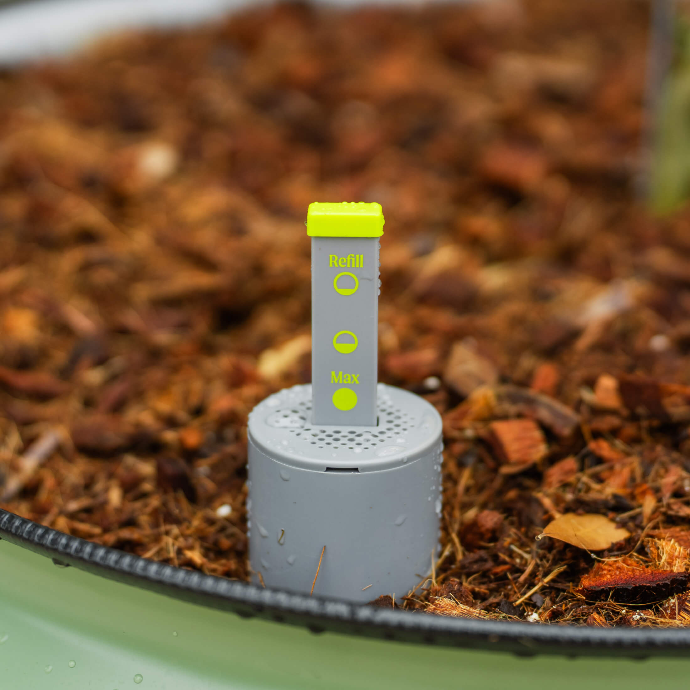Self-Watering Rolling Citrus Tree Planter - 114 Liters
