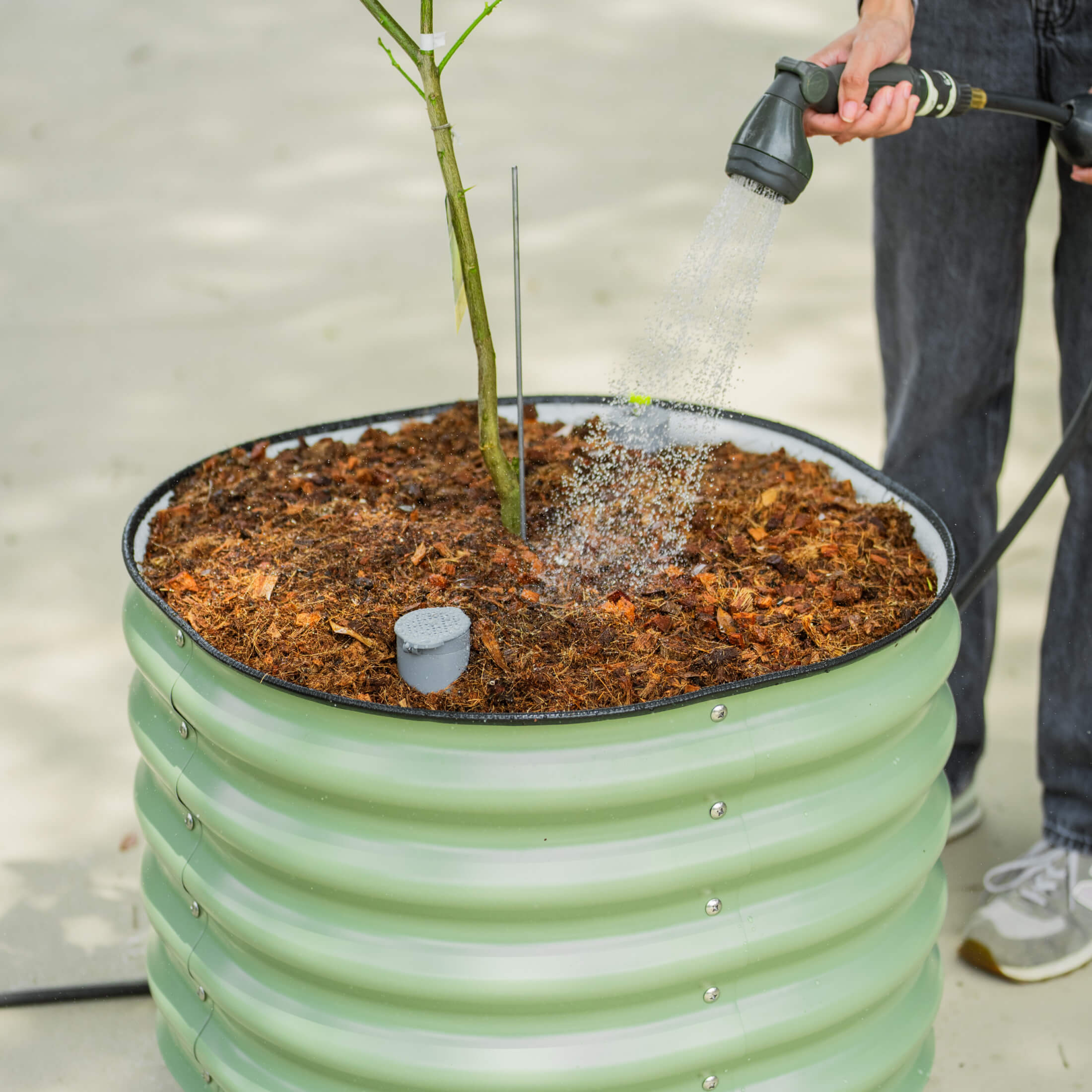Self-Watering Rolling Citrus Tree Planter - 114 Liters