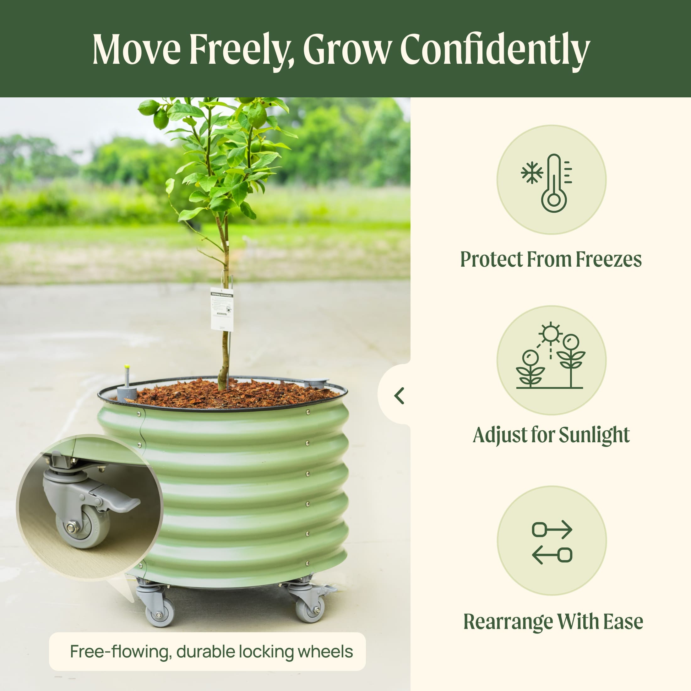Self-Watering Rolling Citrus Tree Planter - 114 Liters