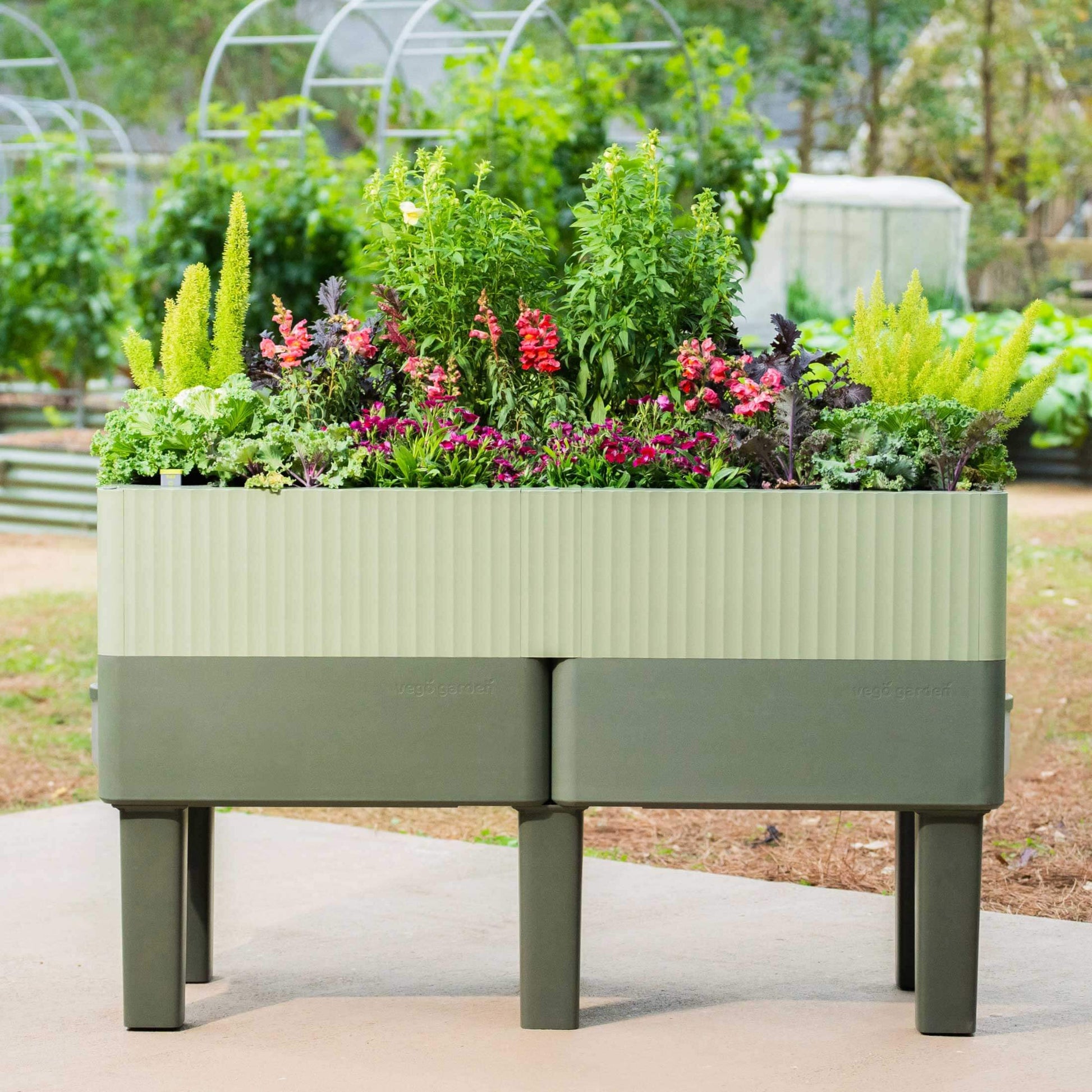 The EZCube Planter 21" x 48" | Vego Garden