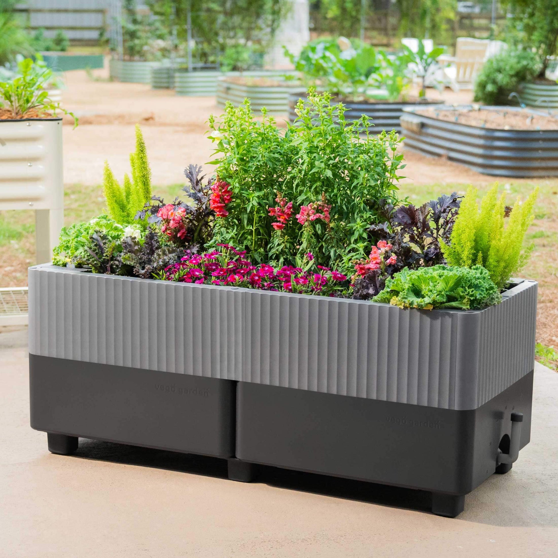 The EZCube Planter 21" x 48" | Vego Garden