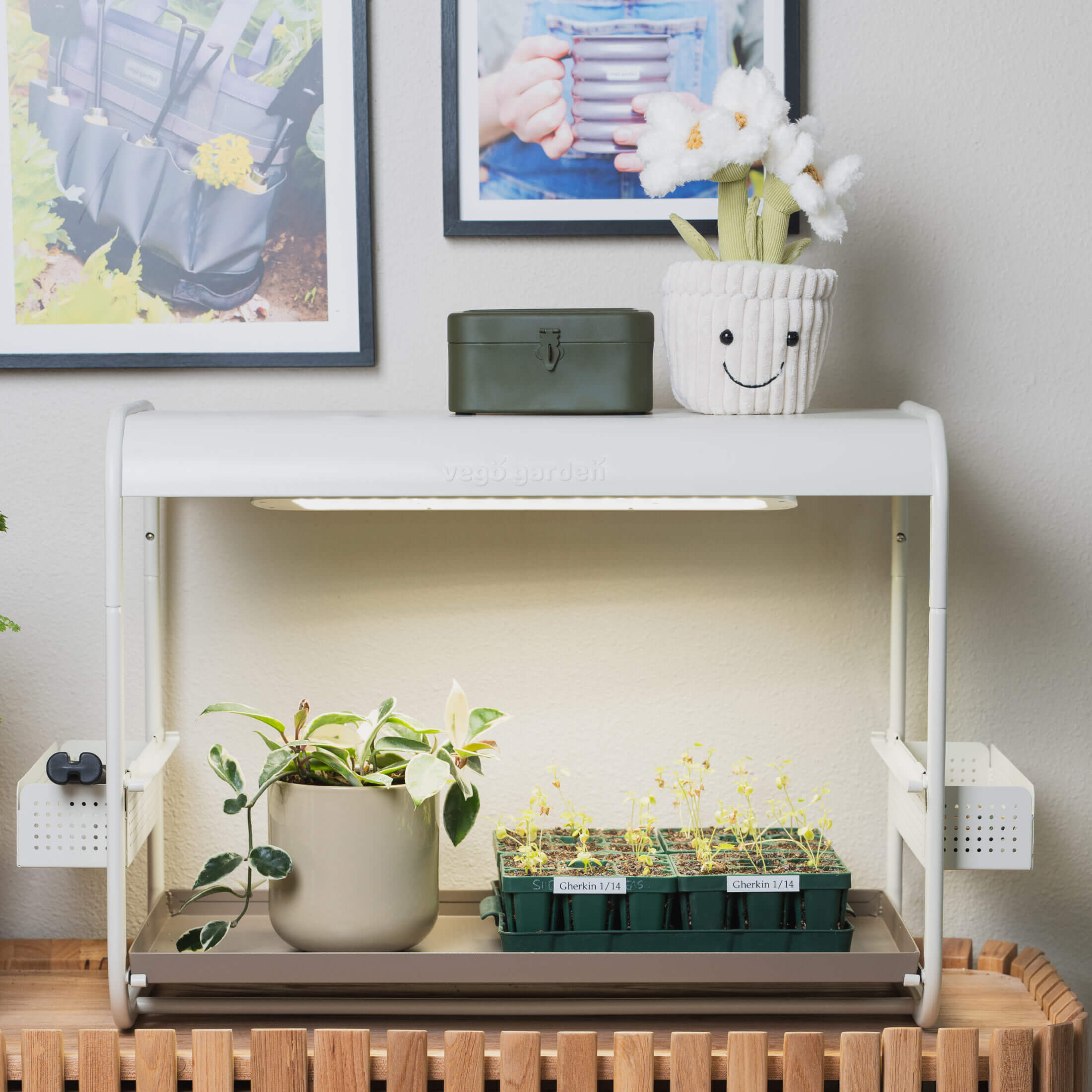 The Tabletop Grow Light Garden - 1 Tier | Vego Garden