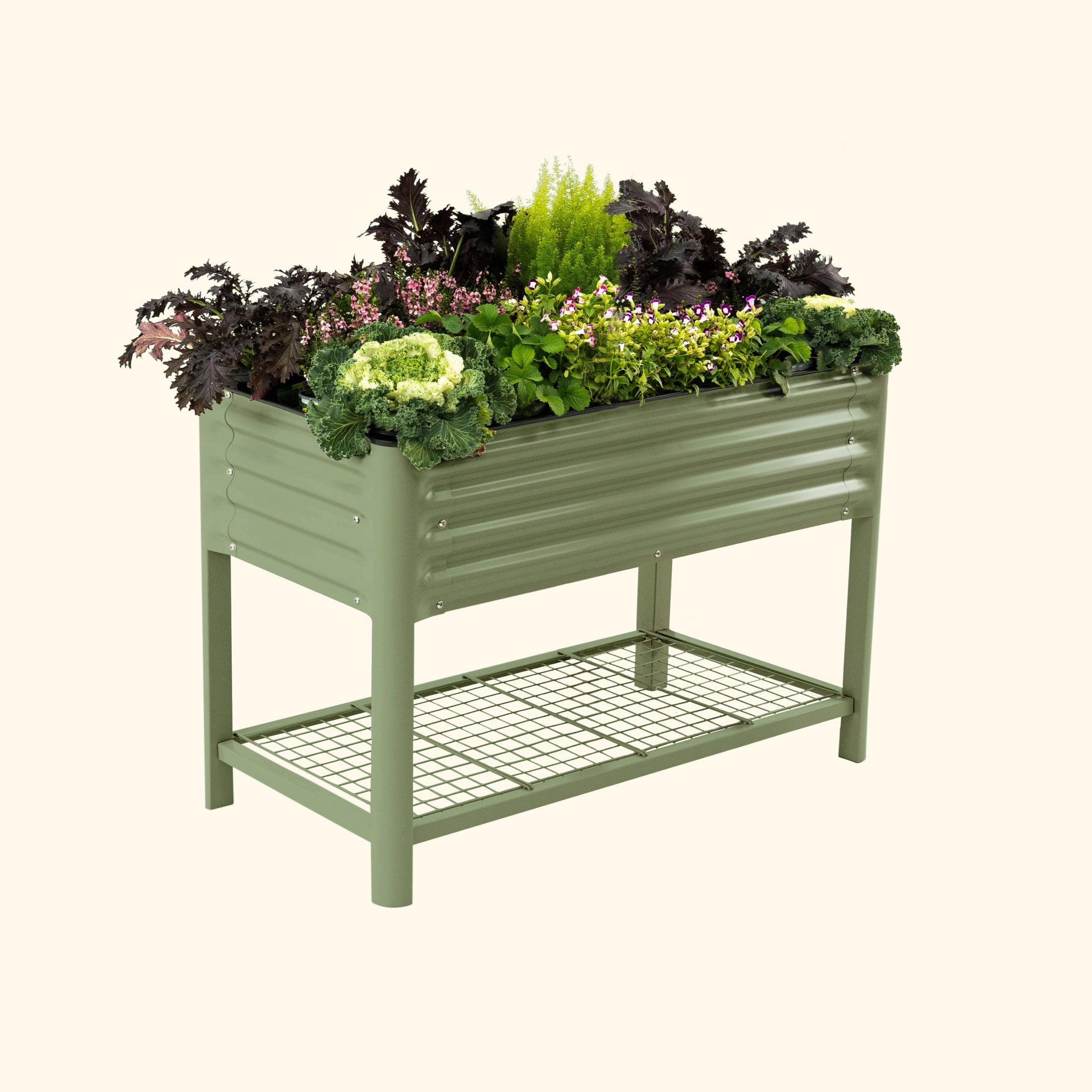 vego garden Elevated Garden Bed 2x4 Oliver Green Color